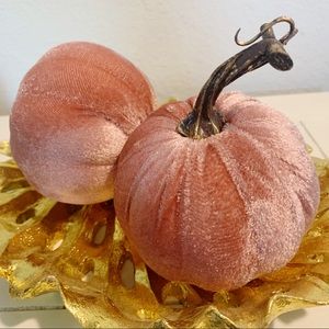 Modern Urban Fall Autumn Velvet 15”D Pumpkin Pair
